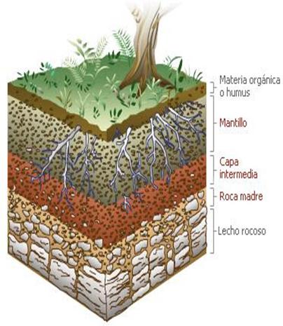 Edafologia